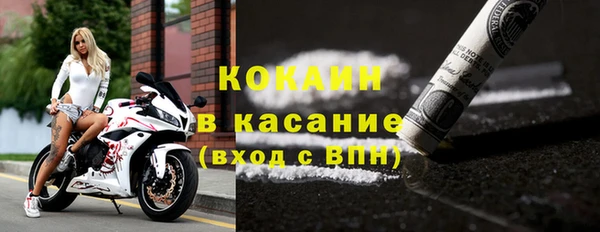 хмурый Алзамай