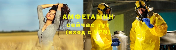 хмурый Алзамай