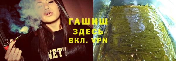хмурый Алзамай