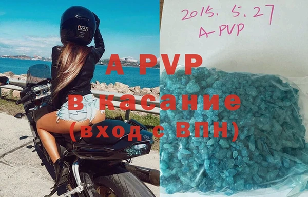 хмурый Алзамай