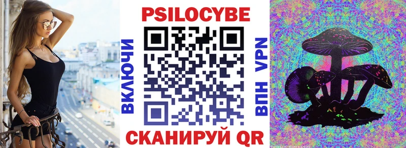 Галлюциногенные грибы MAGIC MUSHROOMS  купить закладку  Котельнич 